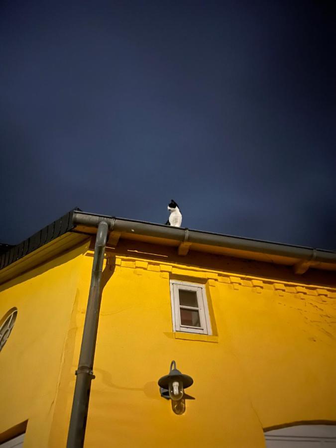 Hotel Lindenhof Chezartistes Loose Esterno foto